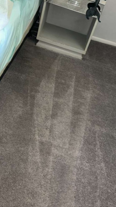 contact about carpet cleaning DC area rug cleaning DC carpet cleaning in washington area rug cleaning in washington contact about carpet cleaning DC area rug cleaning DC carpet cleaning in washington area rug cleaning in washington